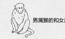 男属猴的和女属羊能过一辈子吗