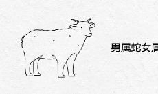 男属蛇女属狗婚姻好吗