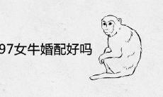 92年男猴跟97女牛婚配好吗