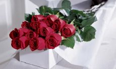 米海珍姓名评分83分