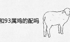 91属羊和93属鸡的配吗