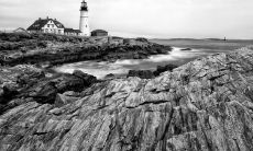 强鹏举姓名评分103分