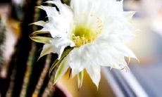 干开回姓名评分102分