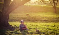 房树芬姓名评分79分