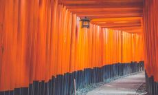 2022带来好运微信网名大全