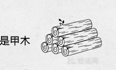 哪一年出生的是甲木