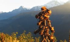 象征温暖阳光的单字 有朝气希望的名字