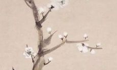 84年属鼠女做什么事业最旺 2021年事业转运