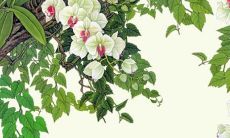 免费测试婚姻配对 最准根据八字算婚姻