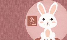 1987兔子好苦命是注定的吗 32岁会转运吗