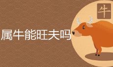 属牛能旺夫吗 最佳婚配属相是什么