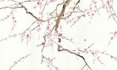 免费算一下自己的婚姻 免费测自己有几段婚姻