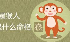 属猴52岁啥命 后半生运势如何