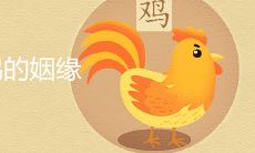 93年属鸡的姻缘在哪年 最佳婚配属相是什么