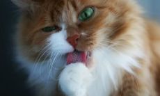 颜天佑姓名评分84分