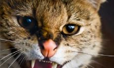 闵星华姓名评分103分