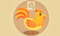 属鸡人50岁有灾是真的吗 运程如何