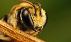 应意圆姓名评分73分