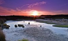 羊命几月最苦 最怕的月份是什么