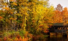 老一辈惊艳了时光的名字 国学底蕴有文采的取名