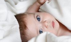 属虎的乳名萌一点的推荐 2022年吉利可爱的小名