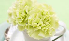 戴宇洁姓名评分76分