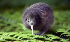 谢予恩姓名评分88分