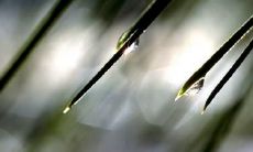 闵闻姓名评分90分