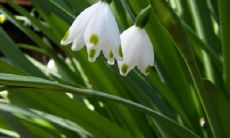 李平作姓名评分67分