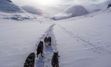 跟雪有关的英文名哪些最冷艳有气质