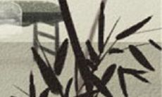 左手断掌纹的男人好不好？