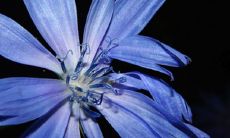 2022又好听又有温柔的网名