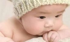 属兔名字男孩宜用字 兔年高分名字非常洋气