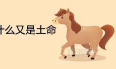 1990年金马为什么又是土命