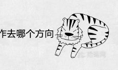 98年属虎工作去哪个方向合适 适合干什么赚钱