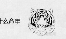 2022虎年是什么命年 可以要孩子吗
