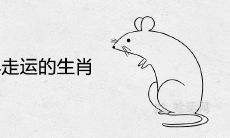 2022年走运的生肖 财运好到爆的属相