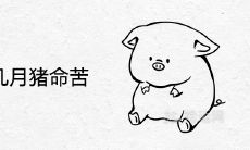 2007年几月猪命苦 忌讳几月出生