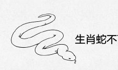 生肖蛇2021年不可错过的贵人