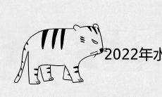 2022年水虎命是什么意思 出生的属虎宝宝好不好
