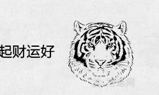 属虎人跟谁一起财运好 贵人生肖是谁