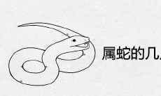 属蛇的几点出生最好命