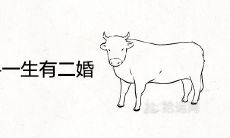 1985年属牛一生有二婚是真的吗 终身婚姻运势如何