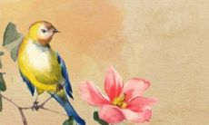 2022年11月14日适合提车吗 今日黄历宜忌分析