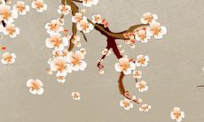 2022年11月24日提车日子好吗 日子好不好