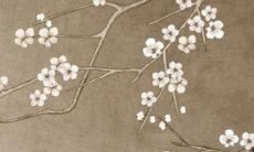 2022年11月19日提车好吗 此日提新车如何