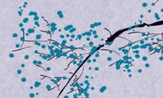 2022年11月21日提新车好不好 今日是黄道吉日吗