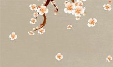 2022年10月23日霜降可以开业吗 此日适不适合开业