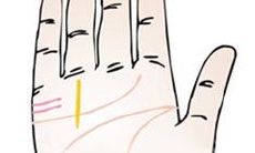 手相财富线看你是否有富贵命？