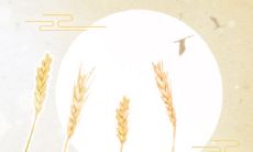 鸿运当头_2017年属虎什么运势最强